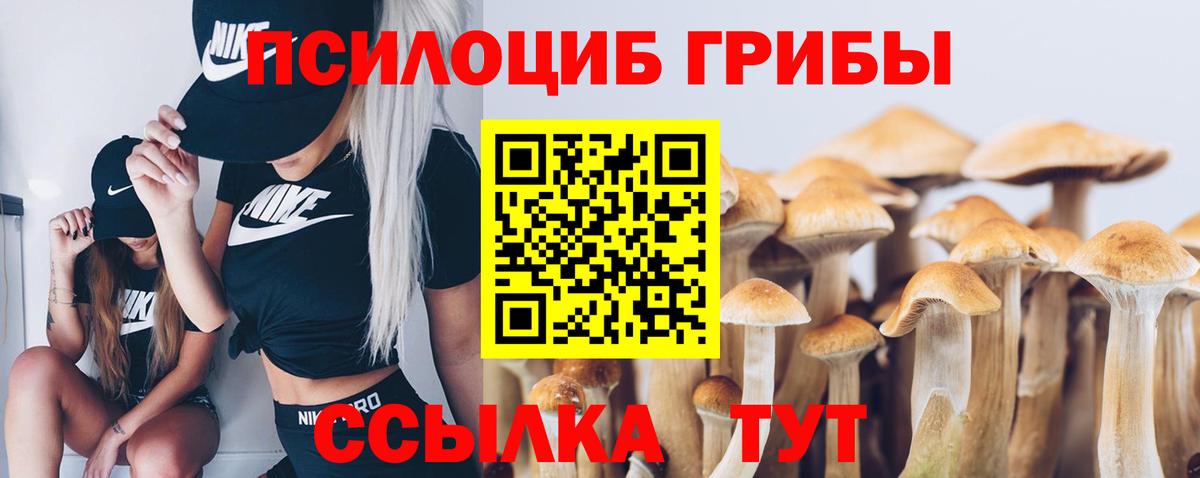 Галлюциногенные грибы Psilocybe  Вход с VPN  Верхний Уфалей 