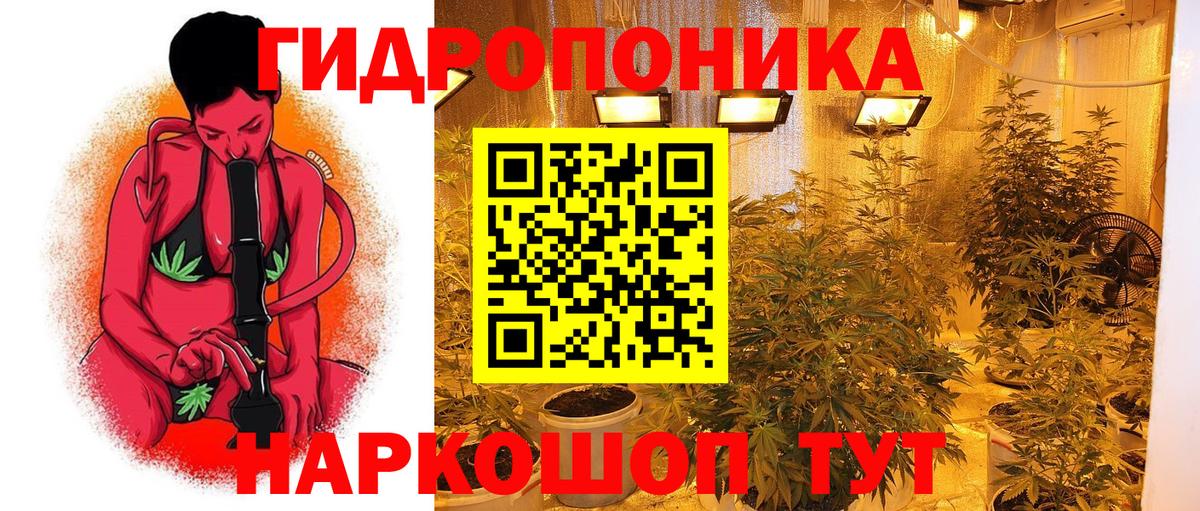 Шишки марихуана планчик Верхний Уфалей